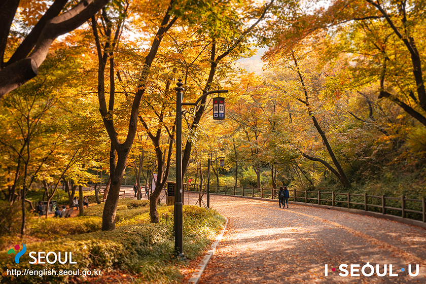 首尔的秋日风光，南山公园