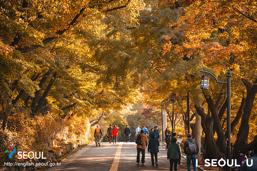首尔的秋日风光，南山公园