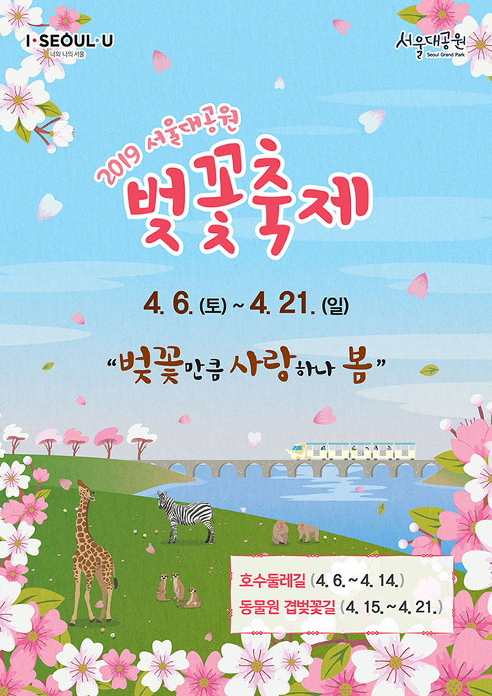首尔大公园樱花庆典