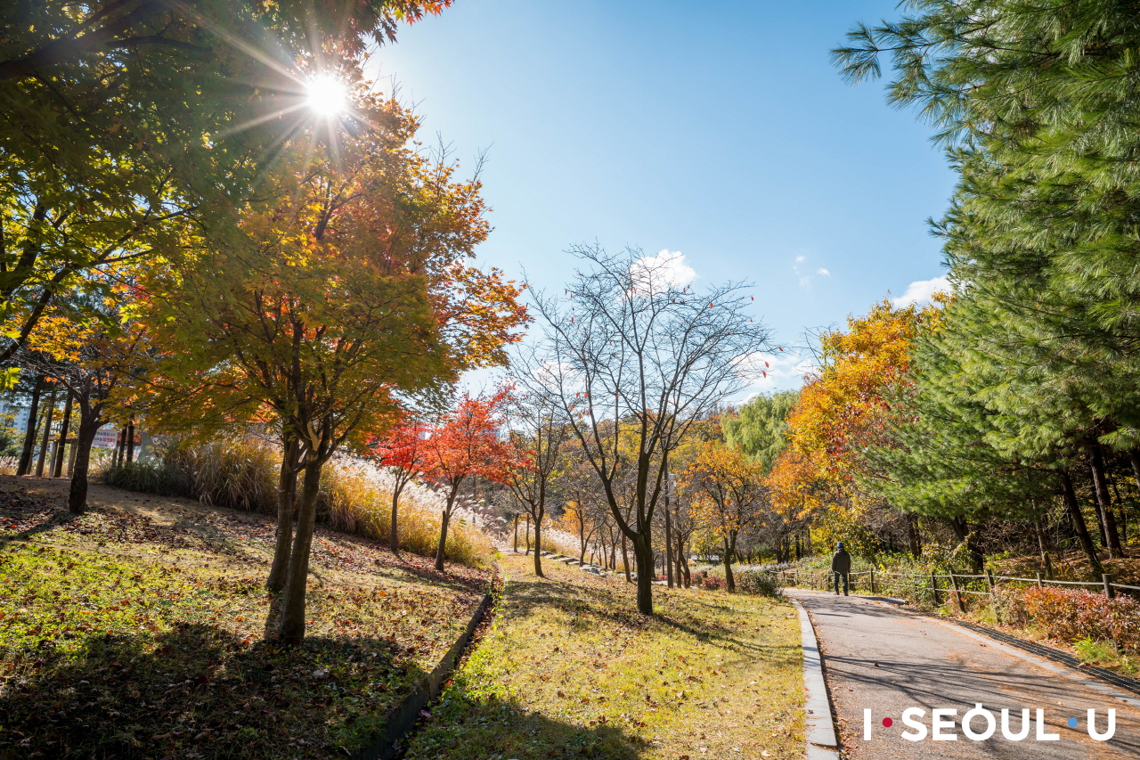秋日暖阳下的烽火台公园散步路