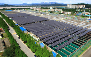 首尔市的太阳能政策荣获“C40-西门子奖”