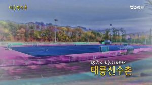 Taereung Training Center: The Heart of Korean Sports