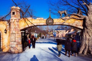 寒假来临，儿童大公园推出“2016动物学习项目”