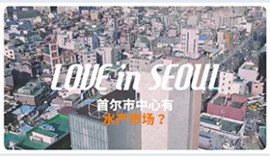 [Love in Seoul] 鹭梁津水产市场体验