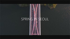 首尔之春延时摄影视频