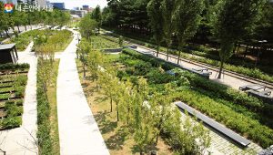 首尔市京春线林道6km全段开放