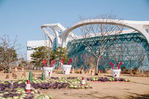 首尔植物园冬季花园庆典“首尔的欧洲圣诞节”