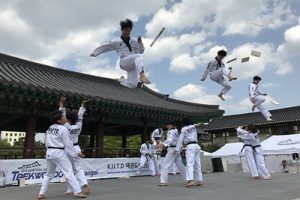 韩国跆拳道再次受全世界瞩目，2020首尔市线上跆拳道表演