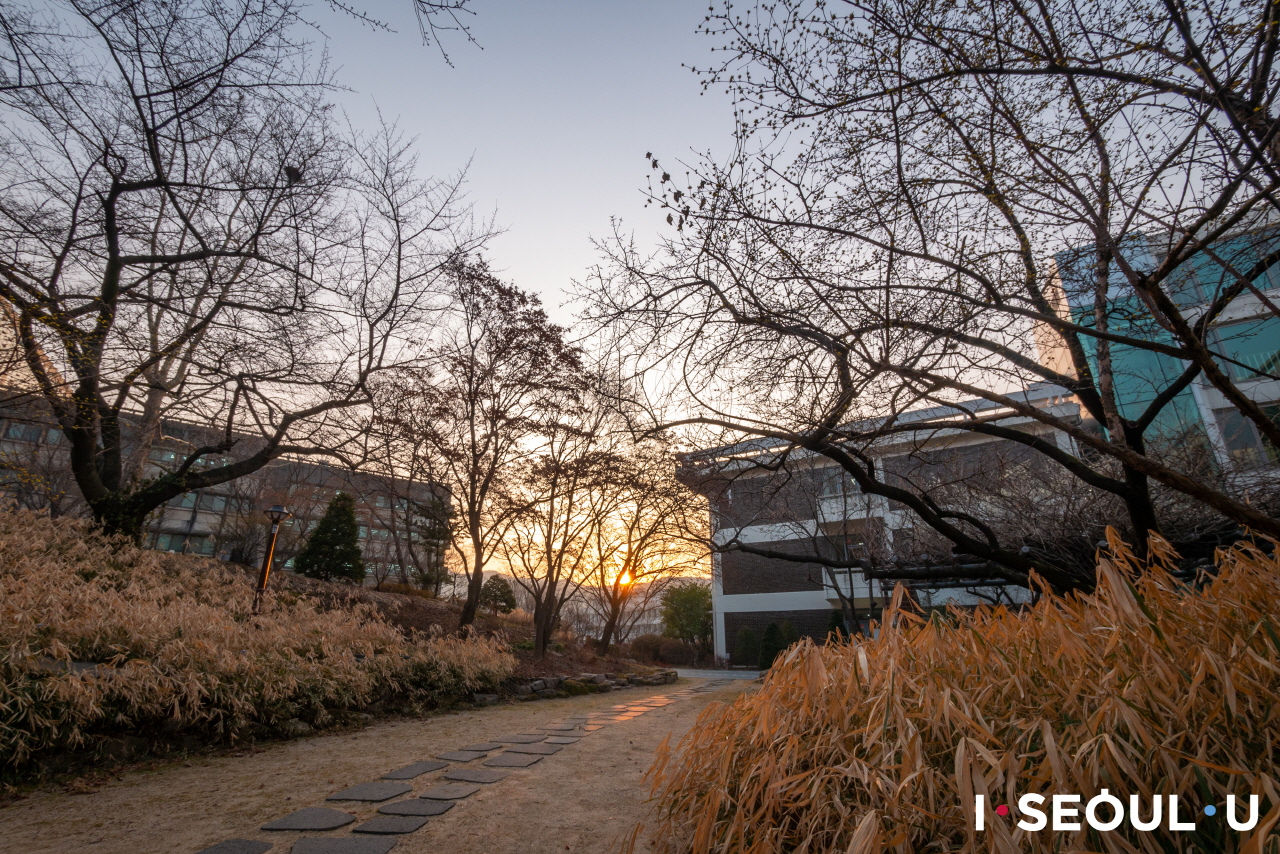 seoul-national-university - 15