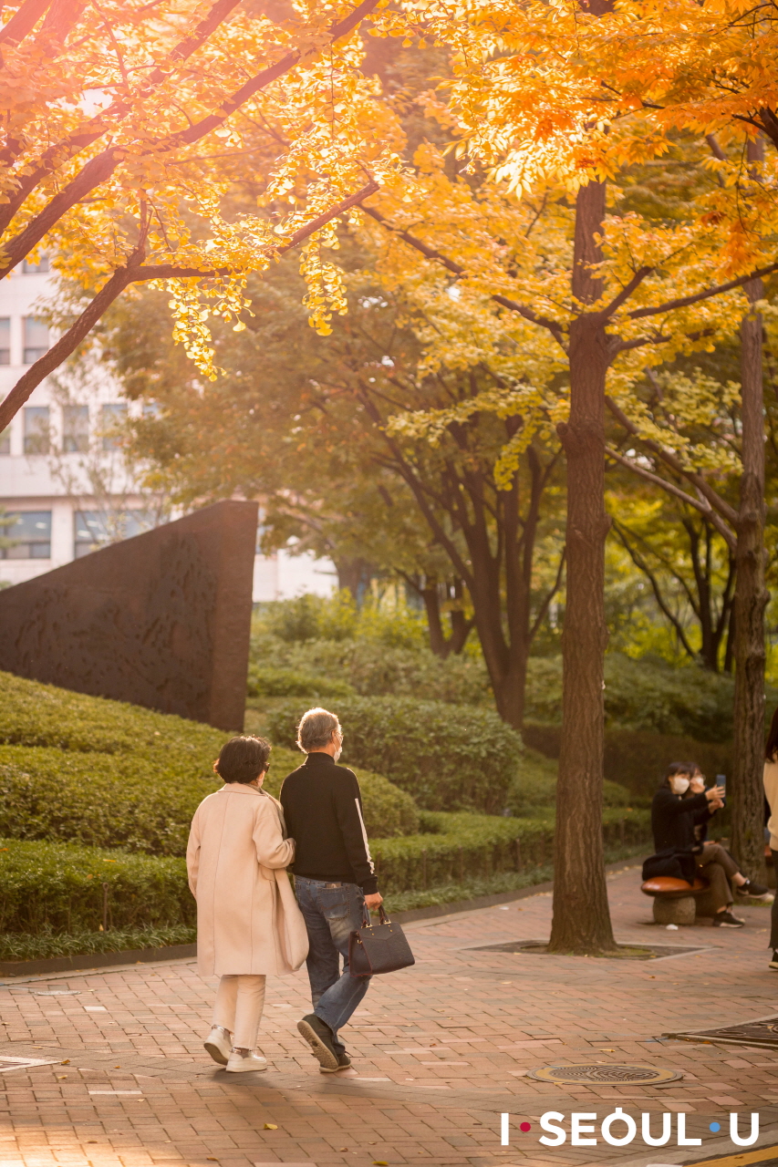 漫步在橘黄色银杏树下的德寿宫街的老夫妻