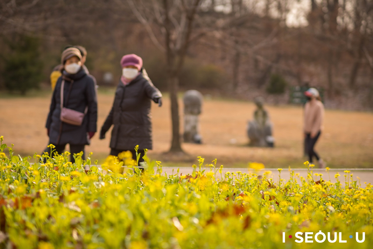 欣赏首尔儿童大公园散步路旁野花的人们 