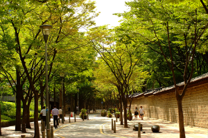 首尔市将连接、加宽、新建绿地，打造全长2000公里的“鲜绿道”