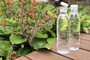 首尔市推出“一体式瓶盖”阿利水，更便于垃圾分类