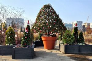 快来首尔植物园“冬季庭园”感受特色圣诞节