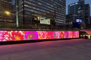 光化门广场HECHI广场即将开启闪亮花路，奉上“开花”主题媒体艺术