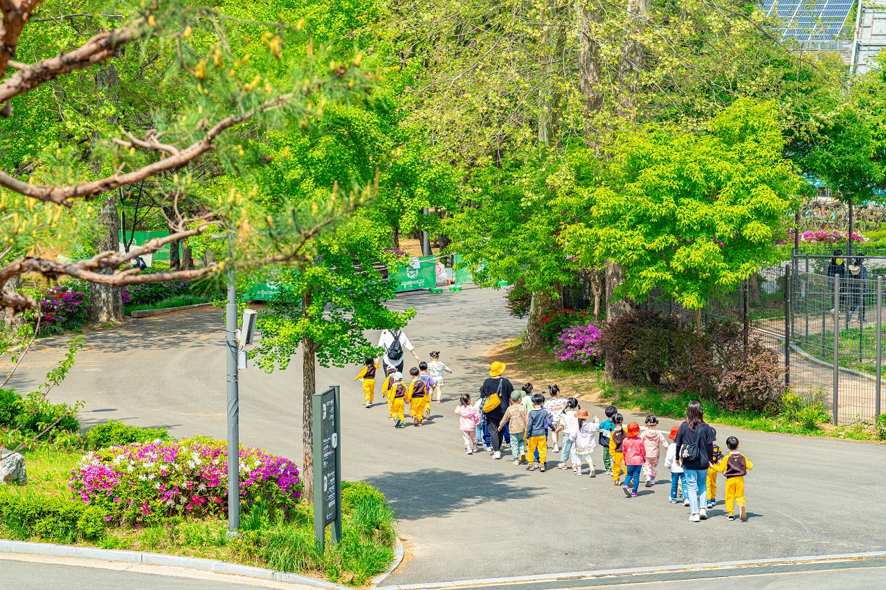 来首尔儿童大公园郊游的小朋友们和带队老师的照片