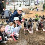 第79届植树节纪念举办“同行魅力庭园城市首尔”活动-2