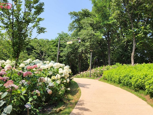 建造楚安山近邻公园