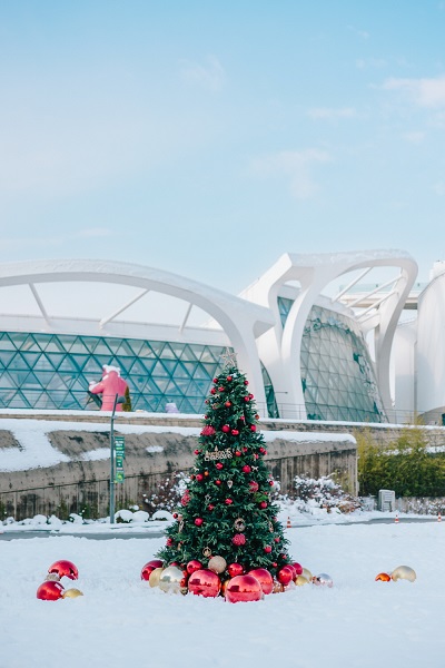 首尔植物园室外雪景