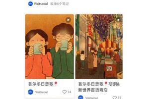 “邂逅冬季首尔，尽享闪耀之旅！”迎接中国游客，实施冬季旅游营销活动