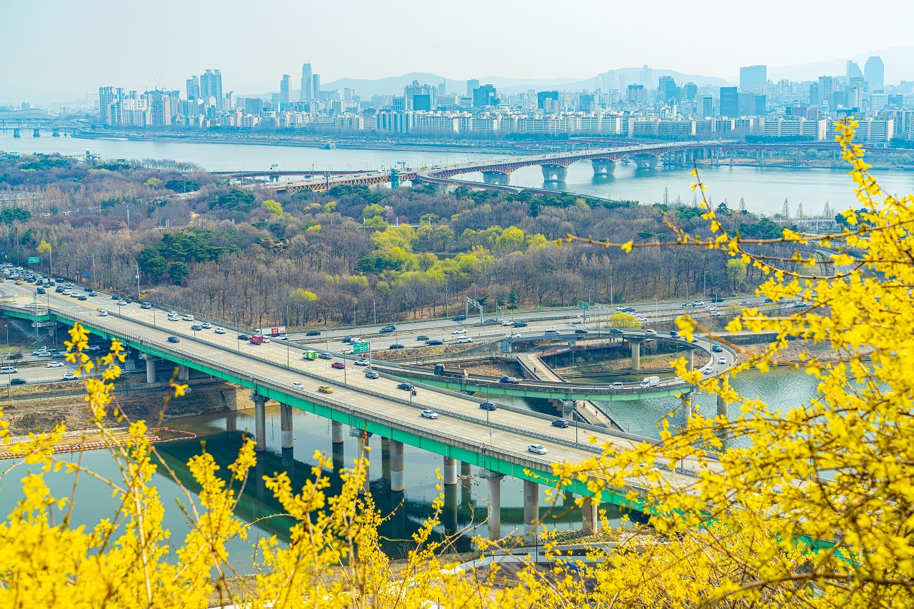 从鹰峰山看迎春花之间的汉江上高架桥和汉江全景照片