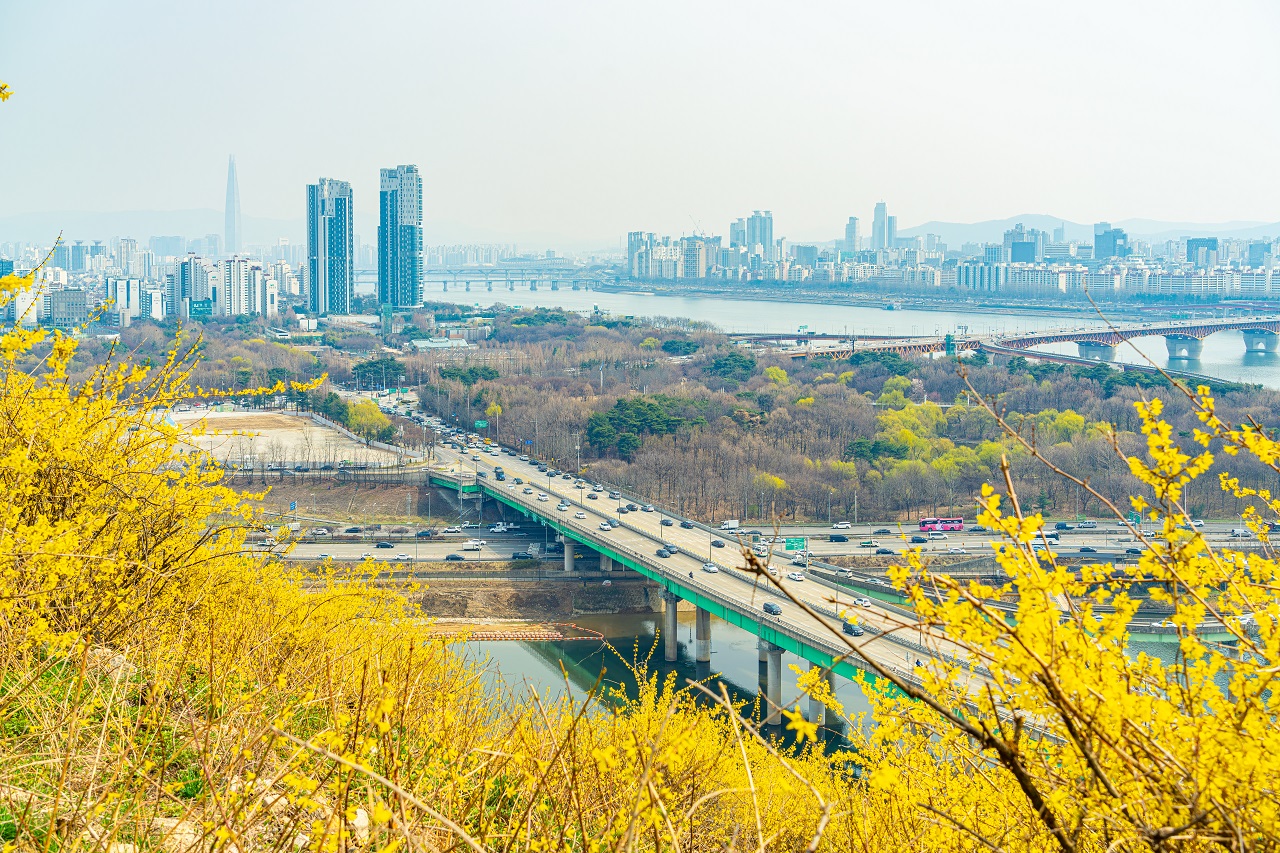 从鹰峰山看迎春花之间流淌的汉江城市全景照片