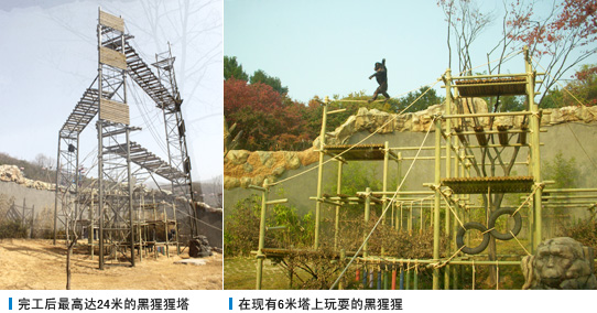 完工后最高达24米的黑猩猩塔, 在现有6米塔上玩耍的黑猩猩