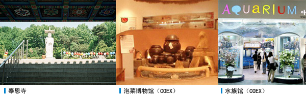 奉恩寺 , 泡菜博物馆（COEX） , 水族馆 （COEX）