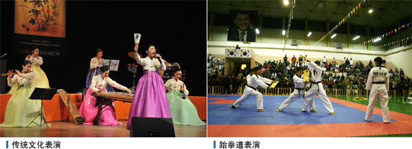 传统文化表演, 跆拳道表演