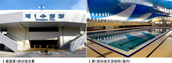蚕室第1游泳馆全景, 第1游泳馆天顶结构(室内)