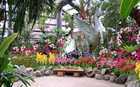 首尔动物园植物园举行 “春意花卉节”特别展