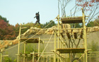首尔动物园将世界最高层“黑猩猩丛林塔”公之于众