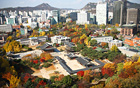 [元淳的希望日记136] 首尔最美的景致，我们一起分享