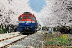 春花主题旅游列车