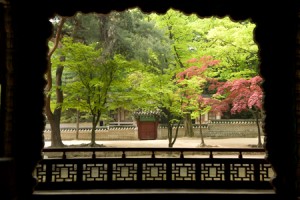 Four Seasons of Seoul - Spring